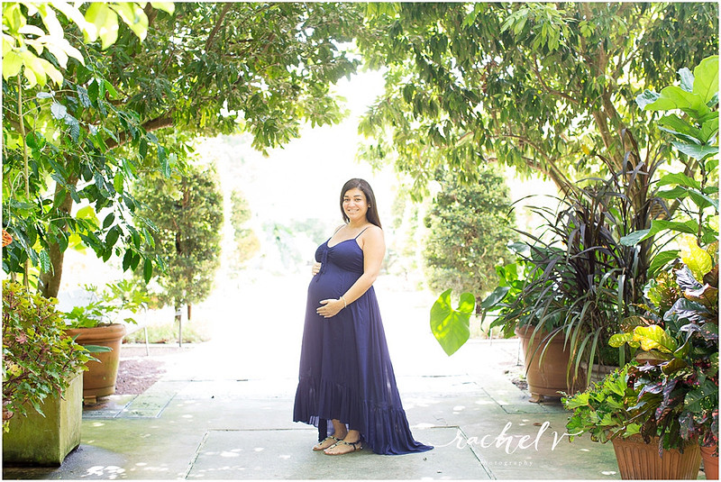 Leu Gardens Maternity Session
