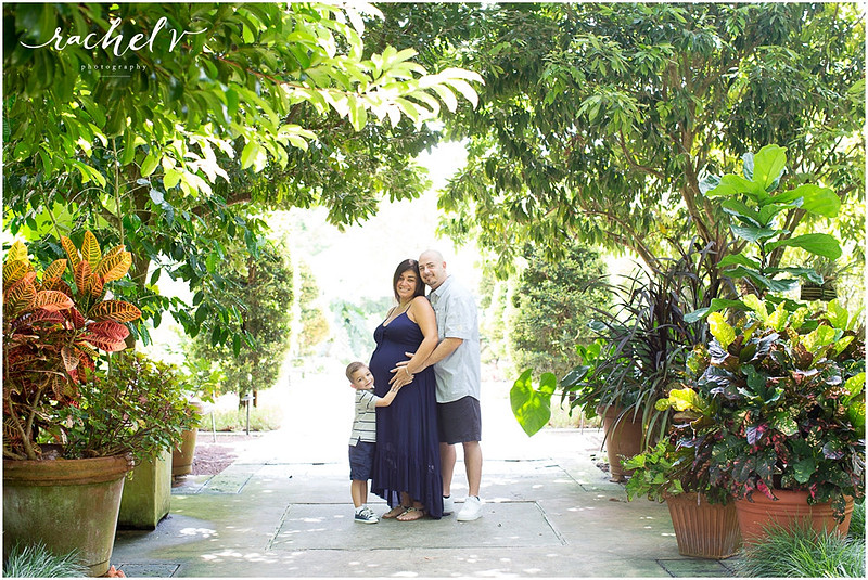 Leu Gardens Maternity Session