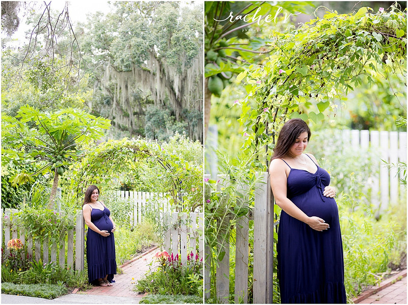 Leu Gardens Maternity Session