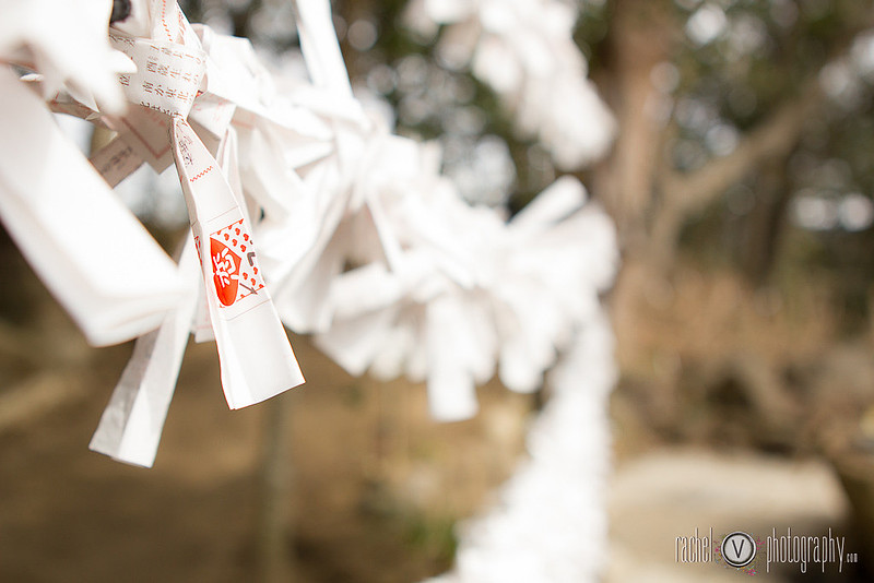 Photography from our trip to Japan, Part 2