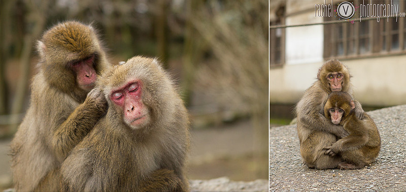 Pictures from our trip to Beppu Japan