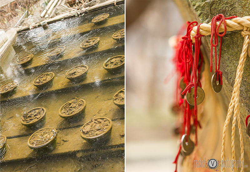 Photography from our trip to Japan, Part 2