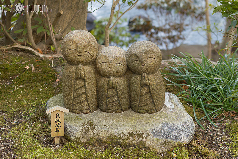 Photography from our trip to Japan, Part 2