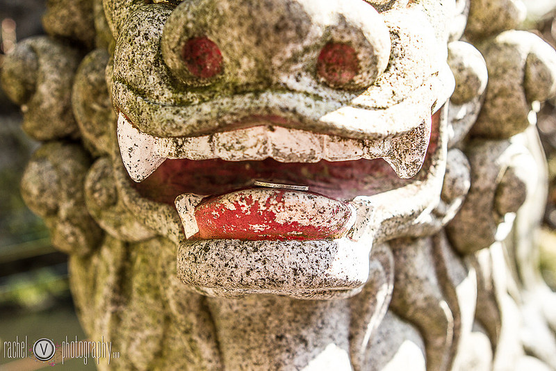 Photography from our trip to Japan, Part 2