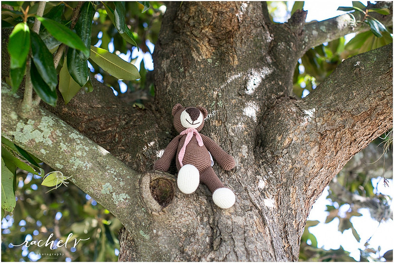 Bebemoss giveaway, Darla the Black sheep with Rachel V Photography. Toys handmade by mums