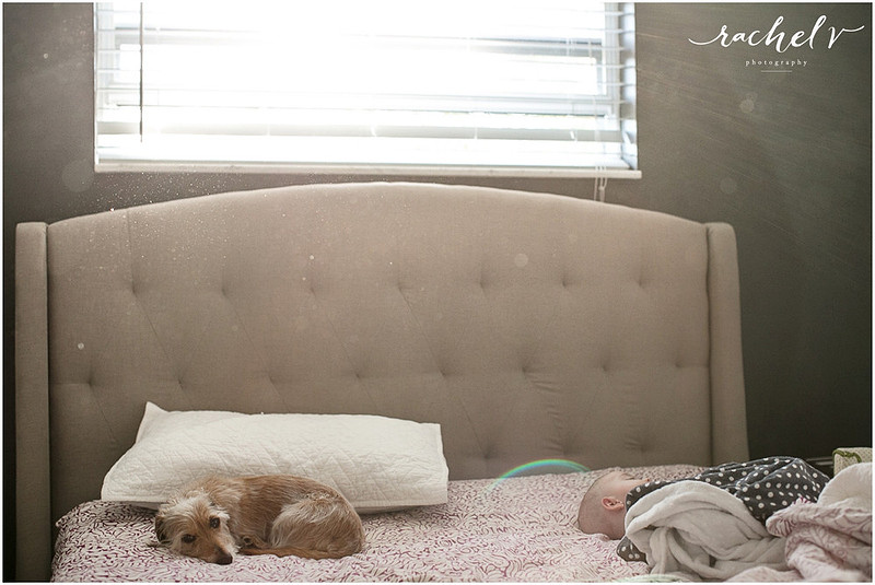Rachel V Photography- Personal lifestyle images