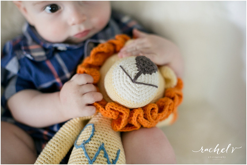 Bebemoss giveaway, Darla the Black sheep with Rachel V Photography. Toys handmade by mums