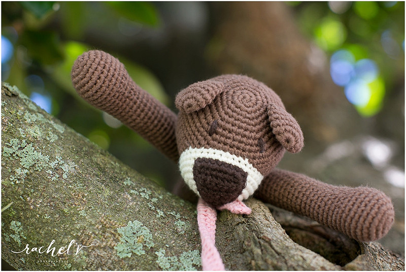 Bebemoss giveaway, Darla the Black sheep with Rachel V Photography. Toys handmade by mums