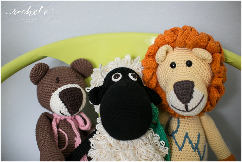 Bebemoss giveaway, Darla the Black sheep with Rachel V Photography. Toys handmade by mums