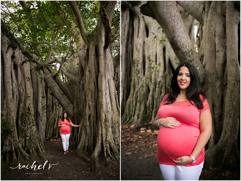 Maternity session at Hugh Taylor Birch State Park in Ft. Lauderdale, FL with Rachel V Photography