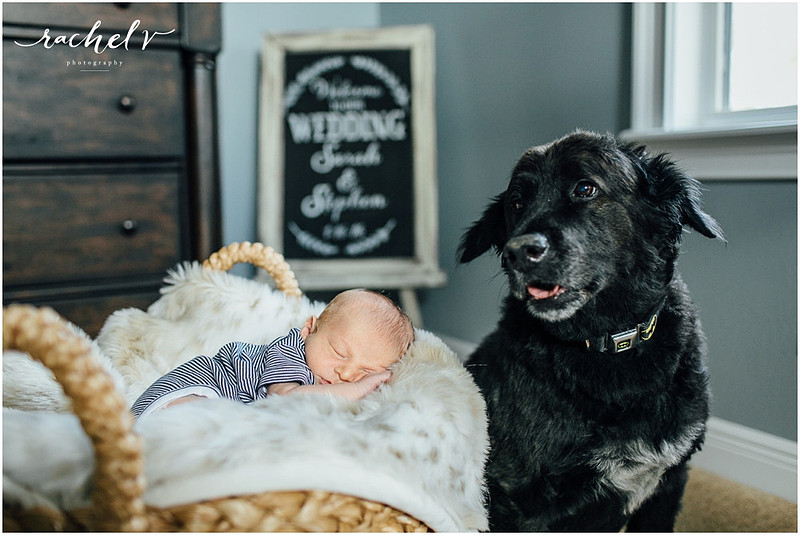 Muller lifestyle Newborn session with Rachel V Photography in Orlando, FL
