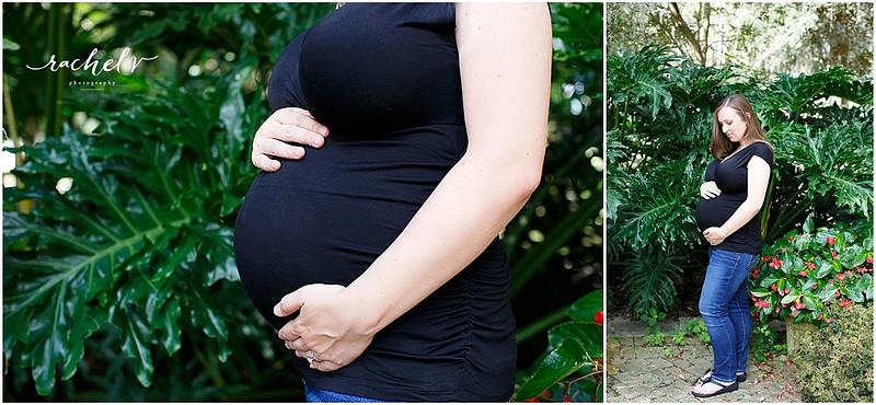 Hornborg Maternity session, Winter Park Florida