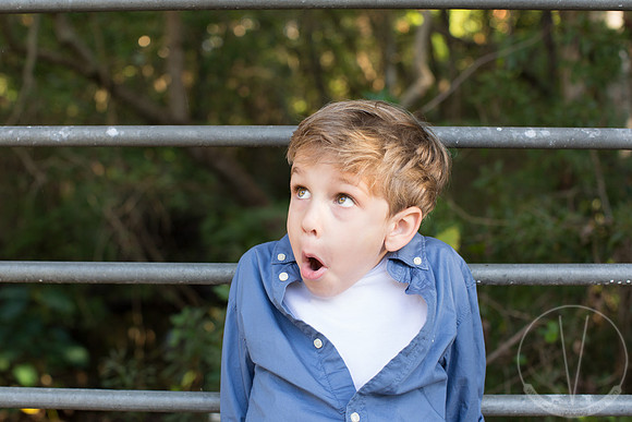 Maverick_ 5 Years Old-20