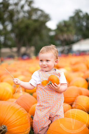 JackHenry_PumpkinPatch_2013-5