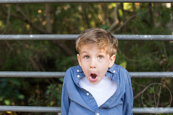 Maverick_ 5 Years Old-21