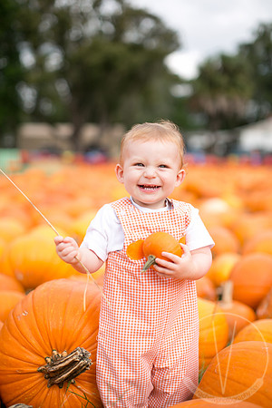 JackHenry_PumpkinPatch_2013-6
