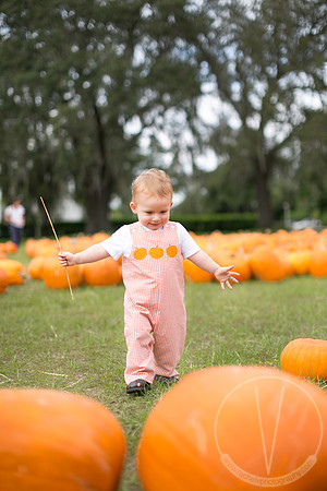JackHenry_PumpkinPatch_2013-2