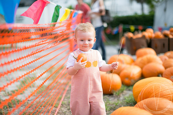 JackHenry_PumpkinPatch_2013-27