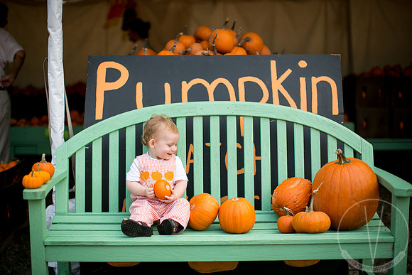 JackHenry_PumpkinPatch_2013-21