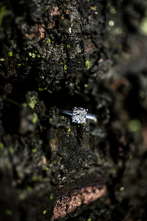Brian+Liz-18
