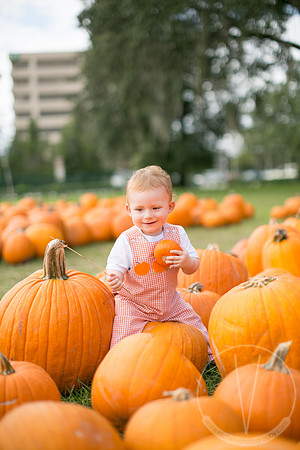 JackHenry_PumpkinPatch_2013-18