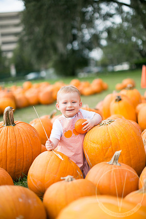 JackHenry_PumpkinPatch_2013-19