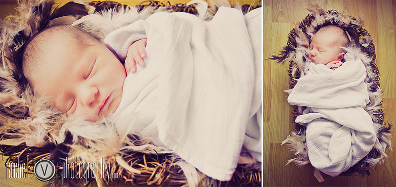 Orlando Child Photographer, Rachel V Photography, Orlando Photographer, Florida Baby and Child Photographer, Orlando Portrait Photographer, Orlando Family Photographer, Orlando Newborn Photographer, Newborn Photography