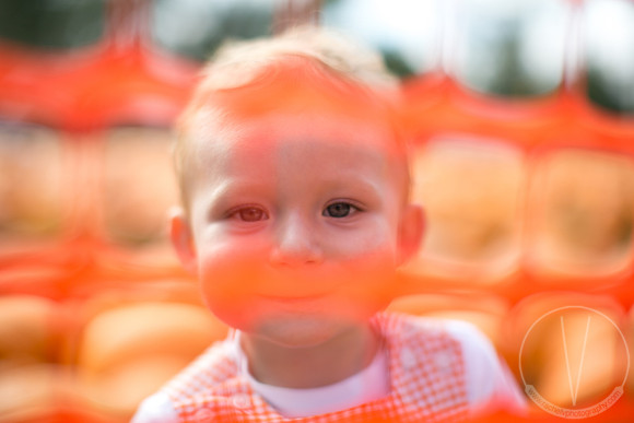 JackHenry_PumpkinPatch_2013-25