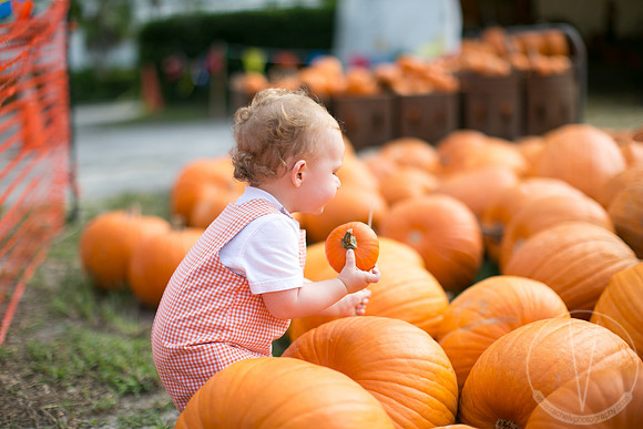 JackHenry_PumpkinPatch_2013-26